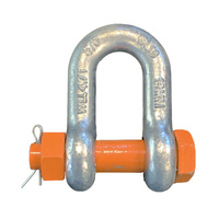 Grade S Alloy Steel Safety Pin Dee Shackles - Component Size - 13mm