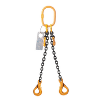 Two Leg Chain Sling 8mm - Made to Order - 6.0m