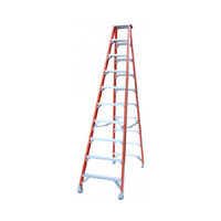 Indalex 180KG 10 Step Fibreglass Double Sided Step Ladder