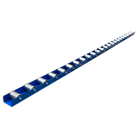 RR3000 -  3 Meter Roller Rail