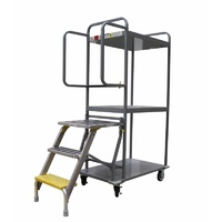 Stock & Order Picking Trolley with Foldable Platform Ladder